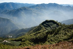 雲嘉七連峰 2025年12月