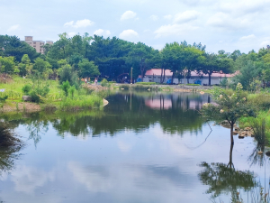 6/14~15霄裡好風光二日遊