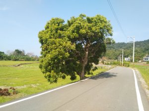 三段崎古道、竹22鄉道O型路線