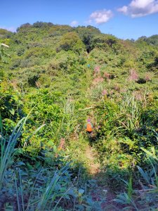 ［七堵縱走］（龍鳯山+萬壽山+瑪陵尖群峰）