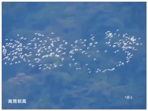 太興岩步道、萬鷺朝鳳、巧雲小棧 (嘉義 梅山)