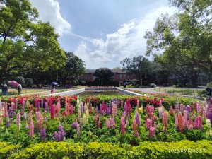 內湖運動中心→勞工保險局→南門市場→台灣電力公司→國立臺灣大學