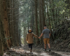 【屋我尾山】大雪山登山口起登，從林道走一個O型回到登山口！