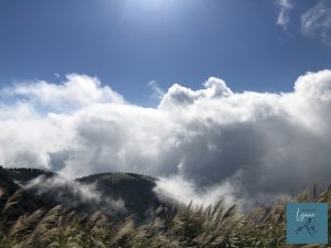 ⛰台北大縱走｜第二段｜二子坪遊客服務中心 - 小油坑