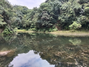 汐止區金明山B線+如意湖O型