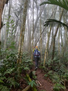 [新竹郊山]內灣三山+油羅溪左斷68河川斷面樁