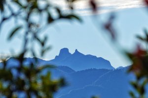 北坑山 東洗水山 司馬限林道