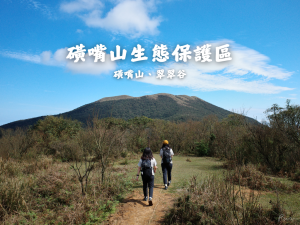 磺嘴山生態保護區｜陽明山的秘境三保—磺嘴山、翠翠谷（擎天崗進出）