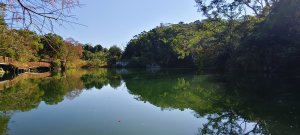 銅鏡山林步道-2025/01/10