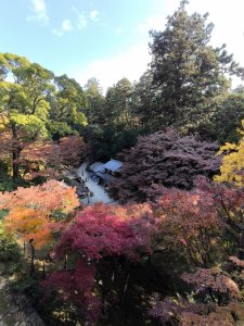 【日本健行】岡山、彥根 (近江八幡、彥根城)、姬路(書寫山圓教寺、世界遺產姬路城、好古園)