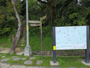 20260321大棟山系-百年大榕樹段