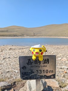 愷愷的頭像