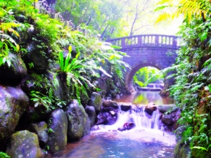 雨櫻虎山溪步道