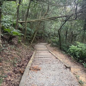 2025.10.12.碧溪_長壽坡_翠山步道