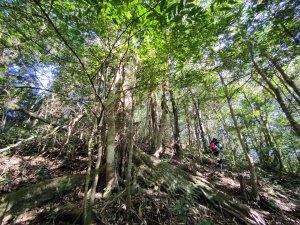 2024.02.01 凌空廊道登煤源山