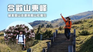 【合歡山東峰】絕美的登山步道與高山杜鵑花