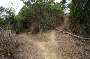 苗栗頭份鹿廚坑山