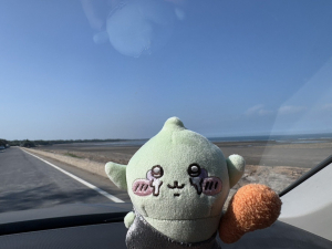 新屋綠色走廊自行車道+百年石滬群半日遊