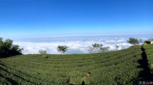 2024-10-19 雲嘉五連峰