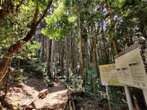 2020.05.02加里山 鹿場登山口來