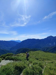 石門東稜出紅豆坡-箭竹芒草路賞法國菊(2021至今才發XDDDD)