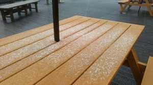 【新聞】宜蘭太平山翠峰湖 下午1時下雪