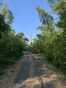 20250830高雄東崗山