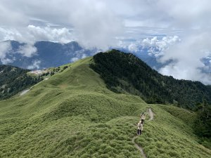 【合歡山】合歡南峰x合歡主峰｜來條比較冷門的合歡山健行路線吧