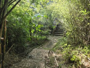 20260806金坑溪步道-頂草埔尾山-三界壇聖德宮-法鼓山-拾浪咖啡