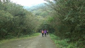 拜訪春天～小觀音山群峰快閃