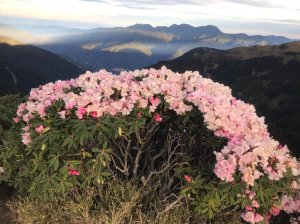 110.5.11熱血半夜上合歡山(主峰,東峰,尖山,石門,南哈哈,哈哈,石門北峰)