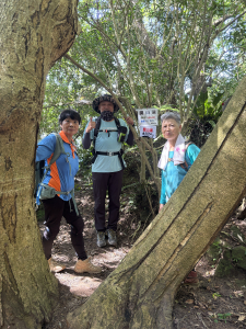 縱走楓櫃斗湖步道、小鷹尖、硬漢嶺步道、358路、101、 旺寮、 龍形古道到八里龍形