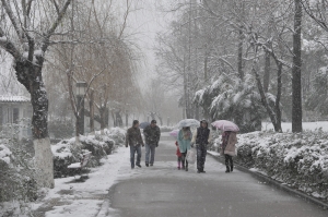 陽明山歷史上的下雪紀錄，以及台灣平地最低溫紀錄