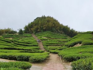 後棟山連走大二尖山(雲林)1090405