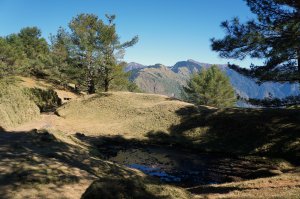 鹿林山、鹿林前山、麟趾山