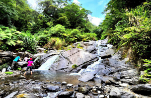 雙瀑，激流，秘境探險，烏來西坑林道之旅