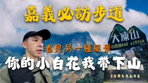 小百岳大凍山，看見另一種風景，滿地的小白花【登山的人】