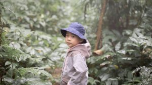 與山林隱士的幸運相遇。新竹五指山