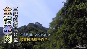 金詩塞內O型，三峽金敏子,詩朗,塞口坑,內金敏4山O形連走，順道看艷紅鹿子百合，季節限定、場地限定喔！只長在岩壁上