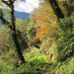 能高越嶺古道全段