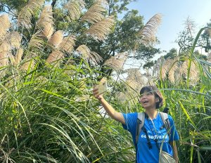 微笑山線：【大棟山系】405高地段—說走就走追芒行動