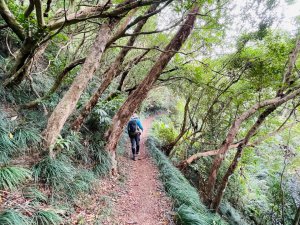 1150124帽子山。25落山風藝術季。