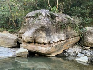 20260117台南阿拉溪斜瀑群縱走糖子恩山-水山頂山