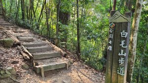 臺中和平-谷關七雄白毛山步道