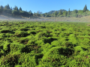 加.太.縱走～加羅湖 下 太平山莊