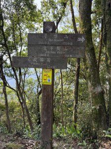 [微笑山線_第八段] 2026_0411 二格山系_炙子頭山