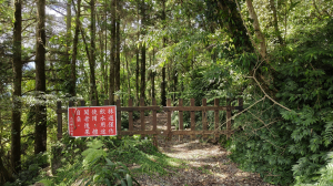 宜蘭大同，202線林道環走盆盆山(先甘後苦)