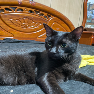 許澤宗🐵～CNC龍門銑床