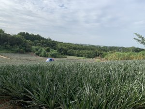 20251024台南大坪山