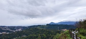 紅淡山步道-2026/03/01